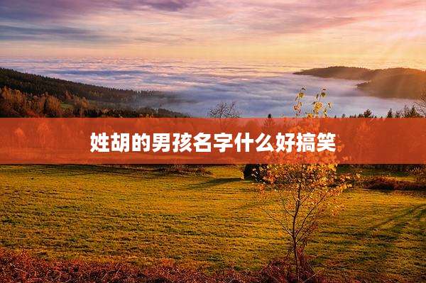 姓胡的男孩名字什么好搞笑