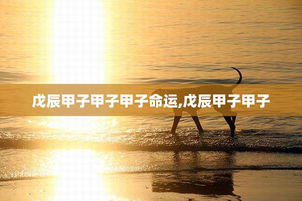 戊辰甲子甲子甲子命运,戊辰甲子甲子