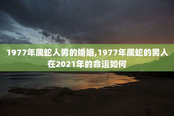 1977年属蛇人男的婚姻,1977年属蛇的男人在2021年的命运如何