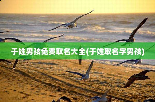 于姓男孩免费取名大全(于姓取名字男孩)