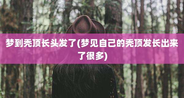 梦到秃顶长头发了(梦见自己的秃顶发长出来了很多)