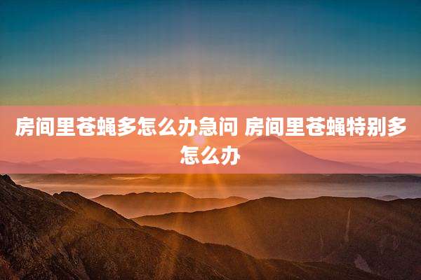 房间里苍蝇多怎么办急问 房间里苍蝇特别多怎么办