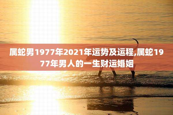 属蛇男1977年2021年运势及运程,属蛇1977年男人的一生财运婚姻