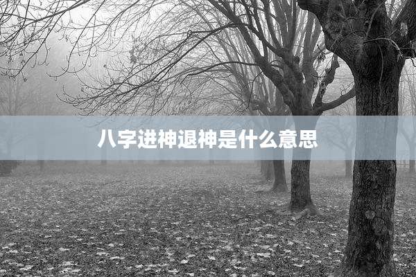 八字进神退神是什么意思