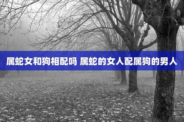 属蛇女和狗相配吗 属蛇的女人配属狗的男人