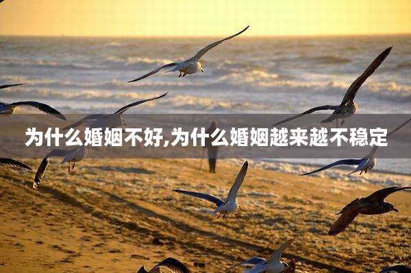 为什么婚姻不好,为什么婚姻越来越不稳定