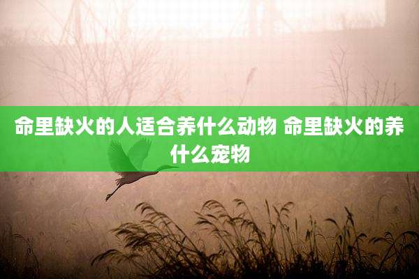 命里缺火的人适合养什么动物 命里缺火的养什么宠物