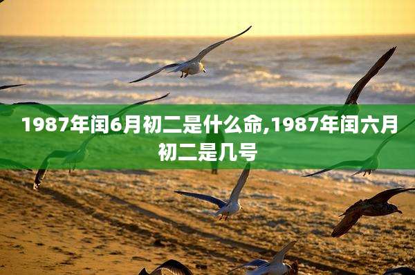 1987年闰6月初二是什么命,1987年闰六月初二是几号