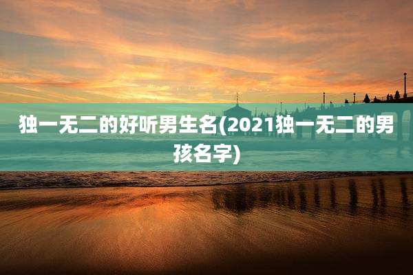 独一无二的好听男生名(2021独一无二的男孩名字)