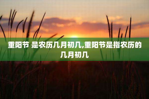 重阳节 是农历几月初几,重阳节是指农历的几月初几