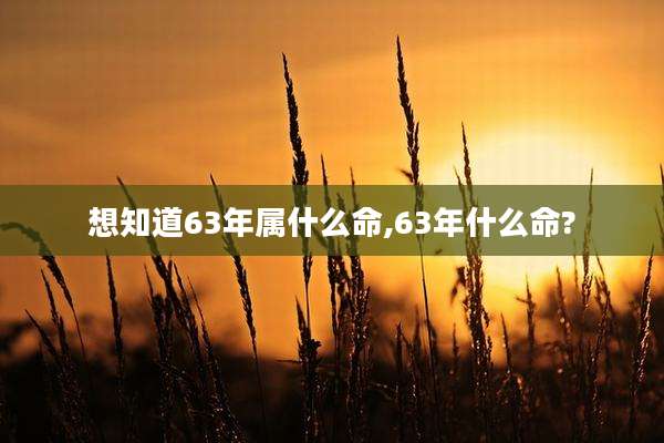 想知道63年属什么命,63年什么命?