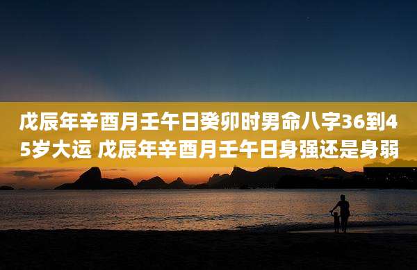 戊辰年辛酉月壬午日癸卯时男命八字36到45岁大运 戊辰年辛酉月壬午日身强还是身弱