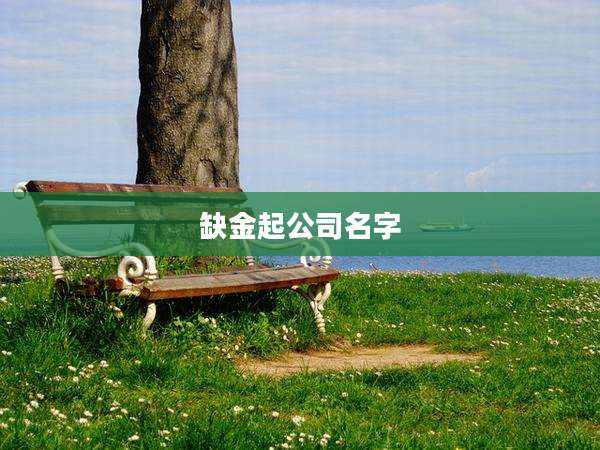 缺金起公司名字