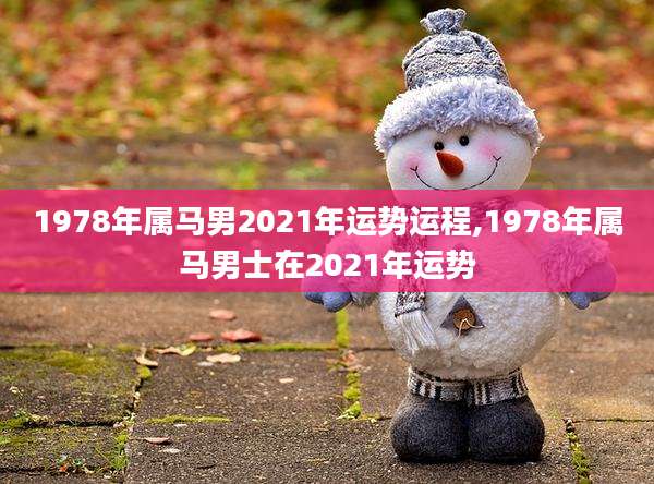 1978年属马男2021年运势运程,1978年属马男士在2021年运势
