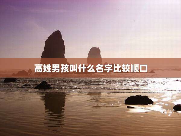 高姓男孩叫什么名字比较顺口