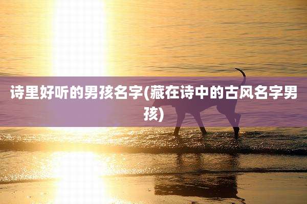 诗里好听的男孩名字(藏在诗中的古风名字男孩)