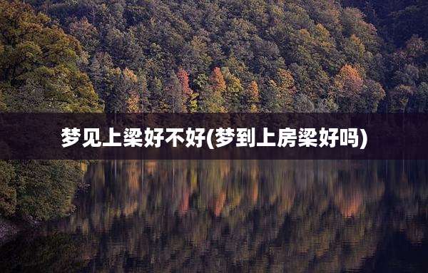 梦见上梁好不好(梦到上房梁好吗)