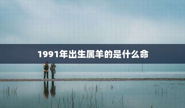 1991年出生属羊的是什么命