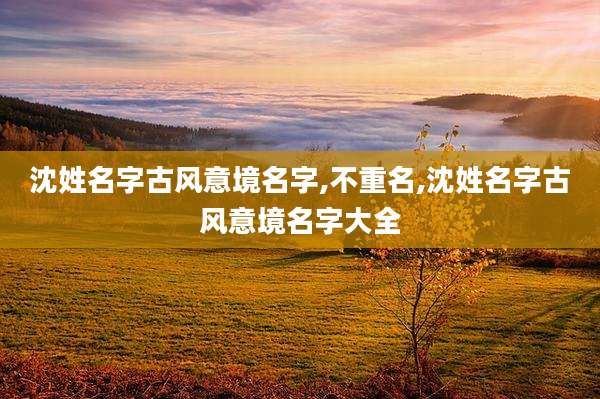 沈姓名字古风意境名字,不重名,沈姓名字古风意境名字大全
