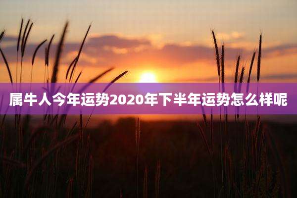 属牛人今年运势2020年下半年运势怎么样呢