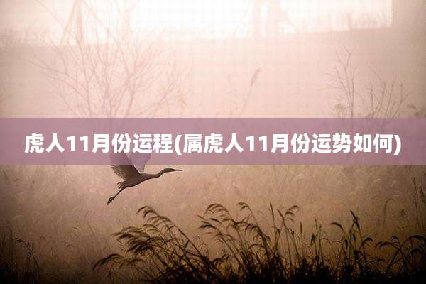 虎人11月份运程(属虎人11月份运势如何)