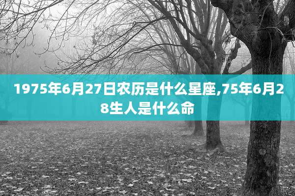 1975年6月27日农历是什么星座,75年6月28生人是什么命