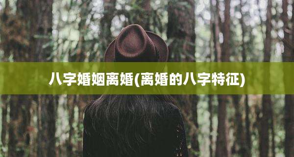 八字婚姻离婚(离婚的八字特征)