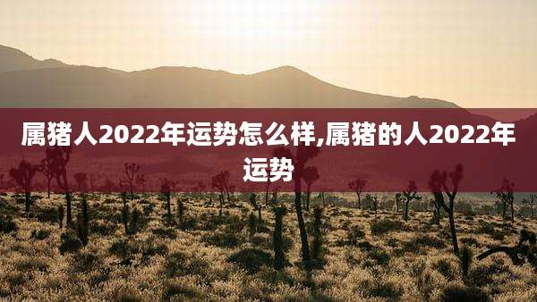 属猪人2022年运势怎么样,属猪的人2022年运势