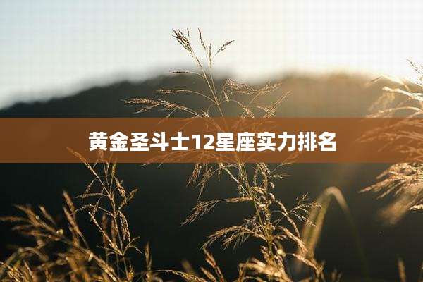 黄金圣斗士12星座实力排名