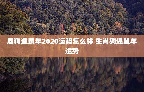 属狗遇鼠年2020运势怎么样 生肖狗遇鼠年运势