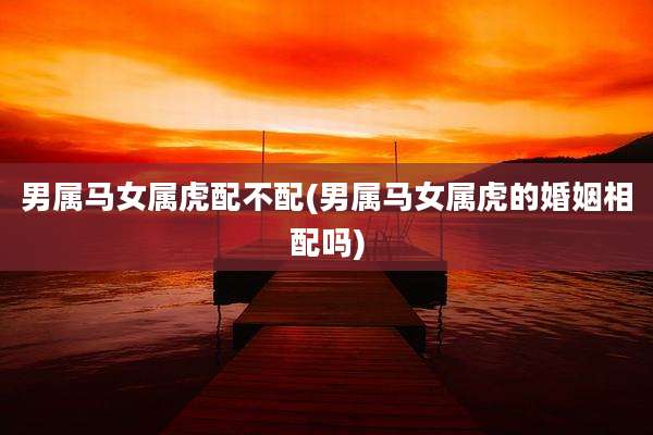 男属马女属虎配不配(男属马女属虎的婚姻相配吗)