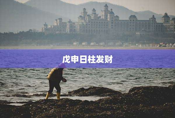 戊申日柱发财