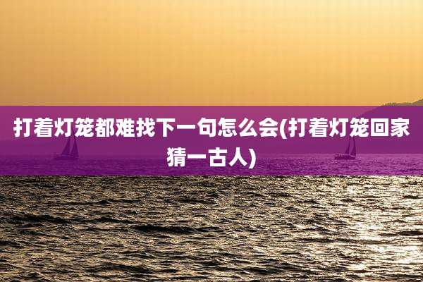 打着灯笼都难找下一句怎么会(打着灯笼回家猜一古人)