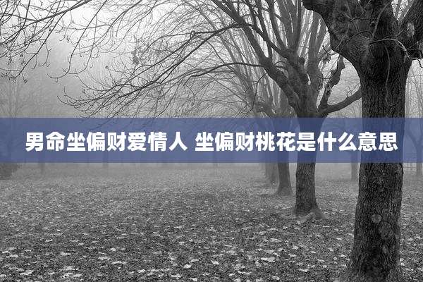 男命坐偏财爱情人 坐偏财桃花是什么意思