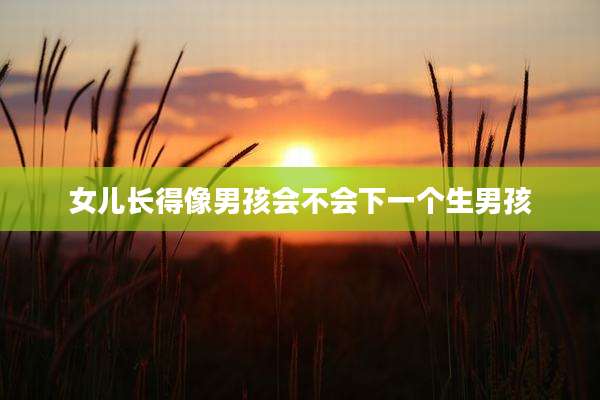 女儿长得像男孩会不会下一个生男孩