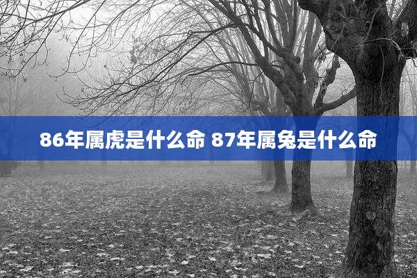 86年属虎是什么命 87年属兔是什么命