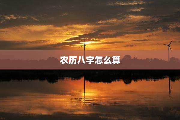 农历八字怎么算