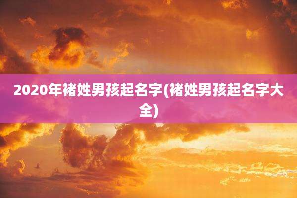 2020年褚姓男孩起名字(褚姓男孩起名字大全)