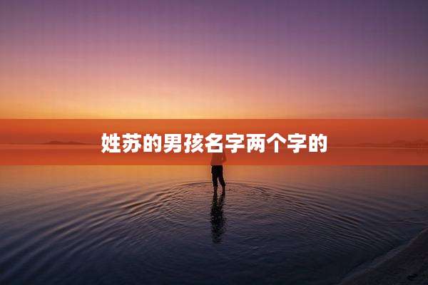 姓苏的男孩名字两个字的