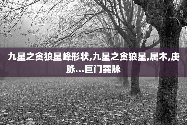 九星之贪狼星峰形状,九星之贪狼星,属木,庚脉…巨门巽脉