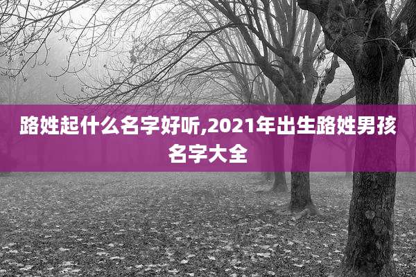 路姓起什么名字好听,2021年出生路姓男孩名字大全