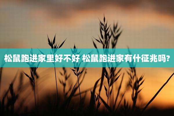 松鼠跑进家里好不好 松鼠跑进家有什征兆吗?