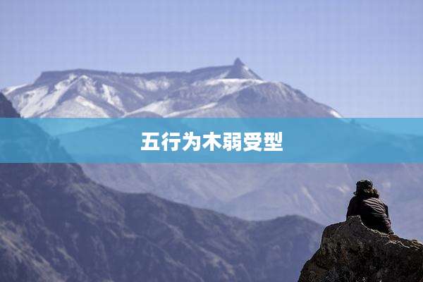五行为木弱受型