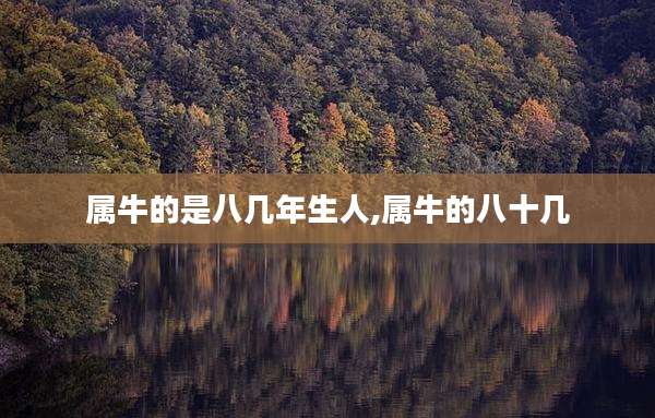 属牛的是八几年生人,属牛的八十几