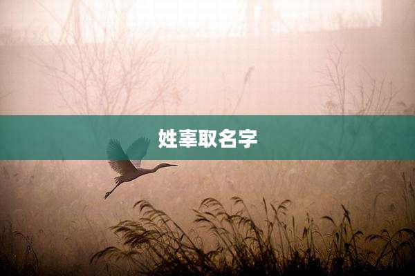 姓辜取名字