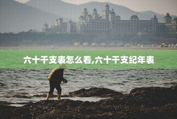 六十干支表怎么看,六十干支纪年表
