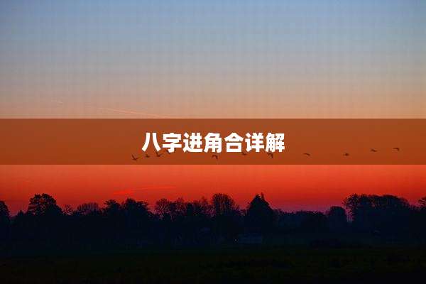 八字进角合详解