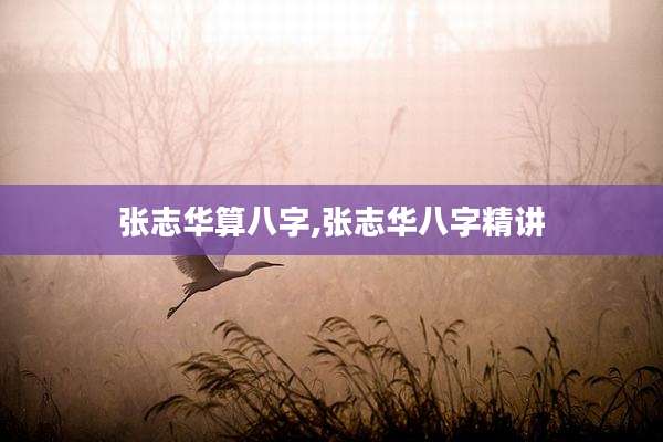 张志华算八字,张志华八字精讲