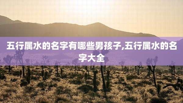 五行属水的名字有哪些男孩子,五行属水的名字大全