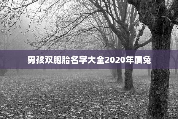 男孩双胞胎名字大全2020年属兔